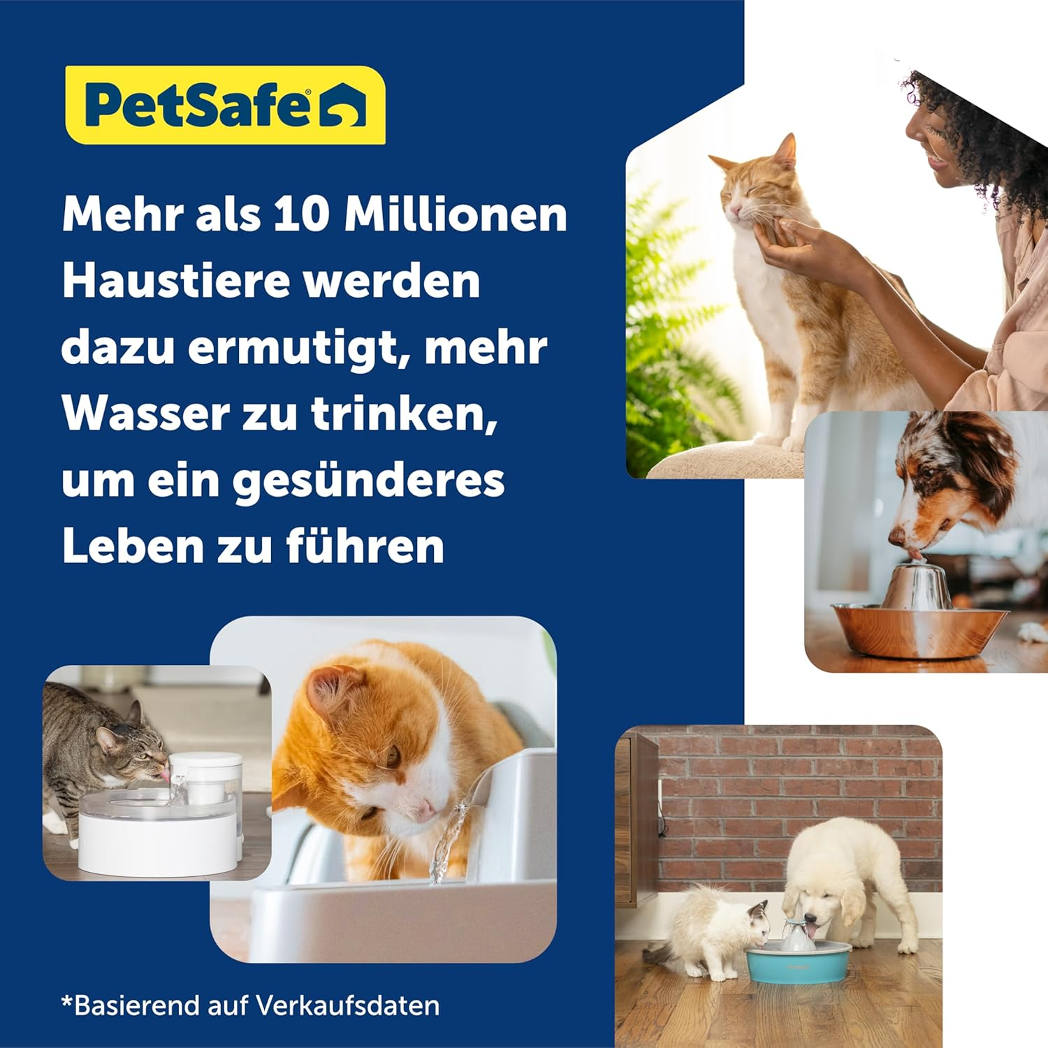 PetSafe Viva Pet Fountain for Cats and Small Dogs – 1.8L/64 oz, Indoor Cat Water Fountain with Whisper Quiet Pump, Dishwasher Safe, Easy to Clean, Water Filters Included