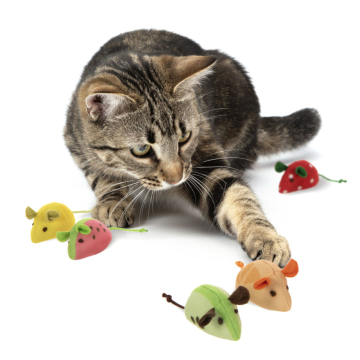 SmartyKat Skitter Slices Catnip Cat Toy