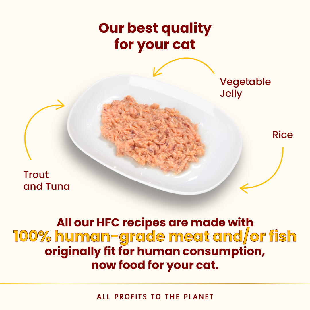 Almo Nature Jelly - Trout and Tuna Wet food 70 g
