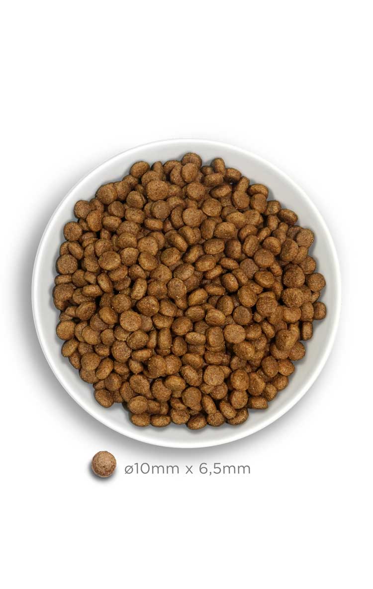 Amanova adult mini exquisite chicken (Sample)