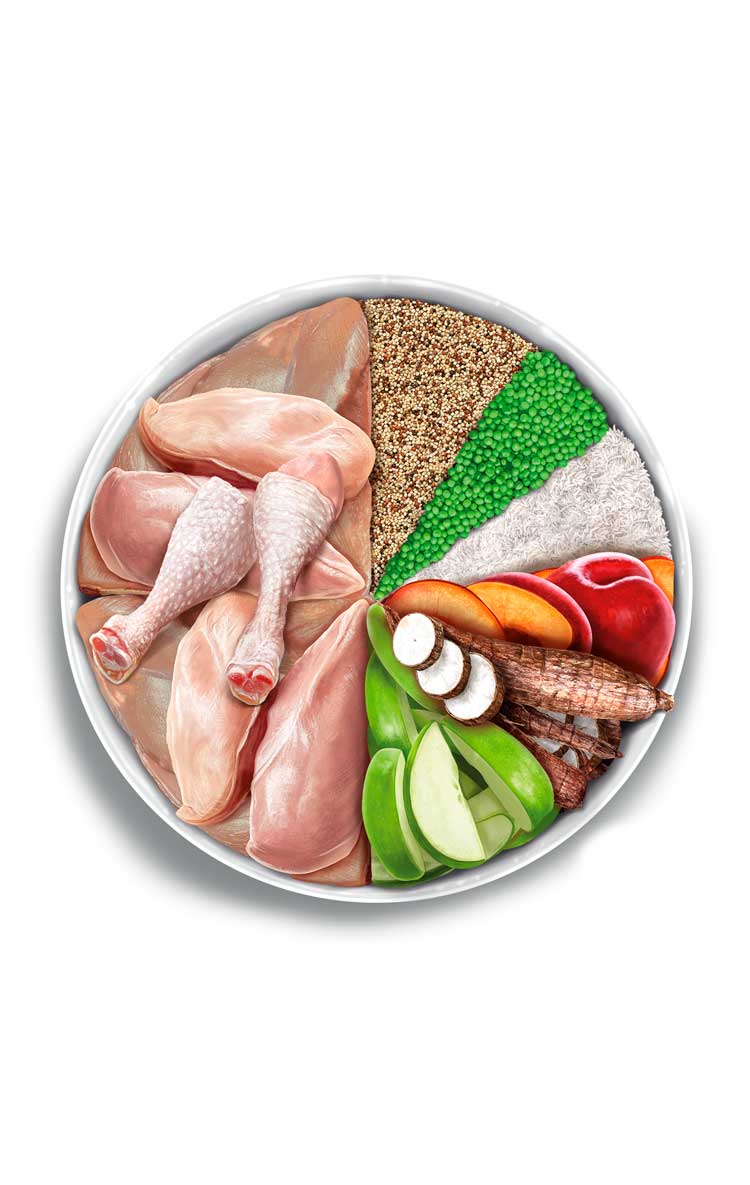 Amanova adult mini exquisite chicken (Sample)