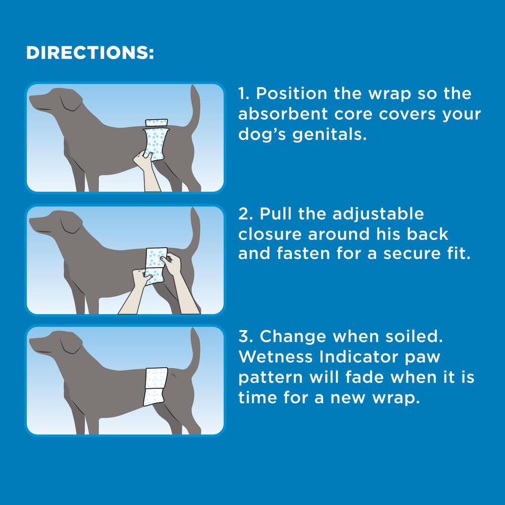 Four Paws Wee-Wee Disposable Male Dog Wraps, 12 Pack X-Small/Small