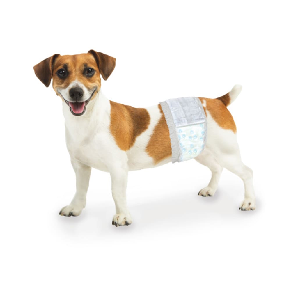 Four Paws Wee-Wee Disposable Male Dog Wraps, 12 Pack X-Small/Small