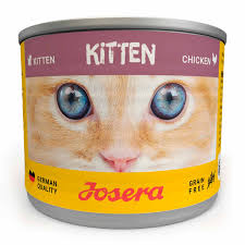 Why feed cats wet food?