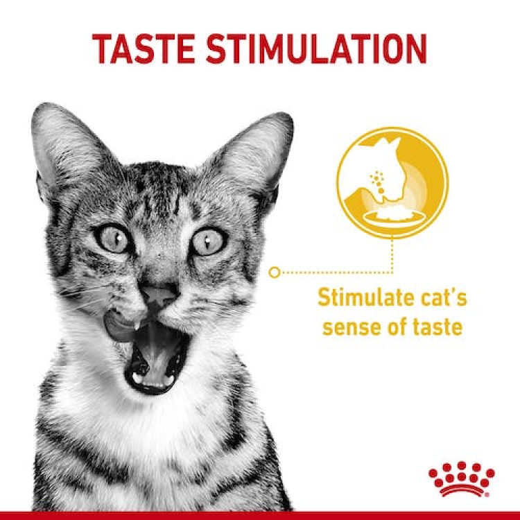 Royal Canin Feline Health Nutrition Sensory Taste (WET FOOD - POUCH) 85G