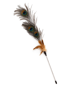 Nutrapet Peek A Boo Cat Wand