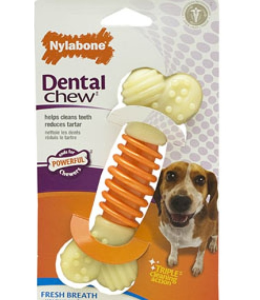 Nylabone Dental Pro Action Chew - Bacon (Medium)