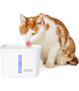 PetSafe Viva Pet Fountain for Cats and Small Dogs – 1.8L/64 oz, Indoor Cat Water Fountain with Whisper Quiet Pump, Dishwasher Safe, Easy to Clean, Water Filters Included