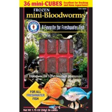 San Fransisco Bay Brand Bloodworms For Mini Cube  50g