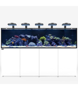 WaterBox REEF LX 380.8 + ALU 9630 White -(LxWxH): 2,448 x 750 x 650mm (96.4" × 29.5" × 25.6") Aquarium