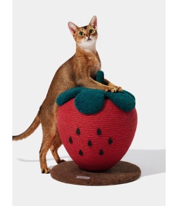 VETRESKA Strawberry Cat Scratching Ball