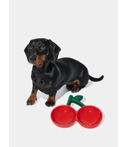 VETRESKA Cherry Ceramic Pet Bowl(NEW)