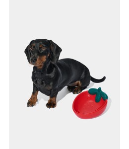 VETRESKA Strawberry Ceramic Pet Bowl