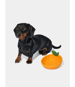 VETRESKA Tangerine Ceramic Pet Bowl