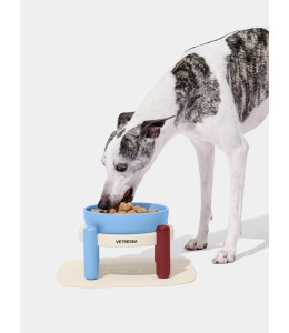 VETRESKA Mist and Merlot Pet Bowl & Mat Set (M)