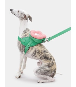 VETRESKA Flora Pet Backpack & Harness 3 in 1 Set (XS)