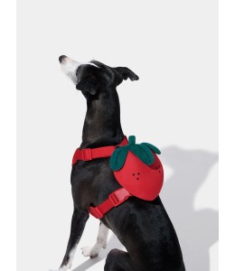 VETRESKA Strawberry Pet Backpack, Harness & Leash Set (XXS)