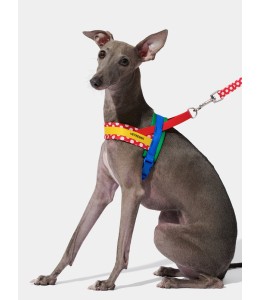 VETRESKA Chroma Pet Harness & Leash Set-Red (M)