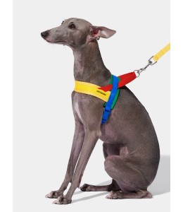 VETRESKA Chroma Pet Harness & Leash Set-Yellow (M)