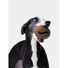 VETRESKA Coffee Pet Feeder Toy