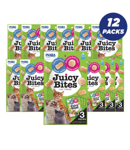 INABA Juicy Bites Homestyle Broth & Calamari Flavor 33.9g / 3 pouches per pack - Pack of 12