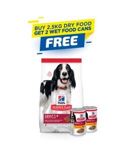 Hill's Science Plan Medium Adult Dog Food with Chicken - 2.5kg