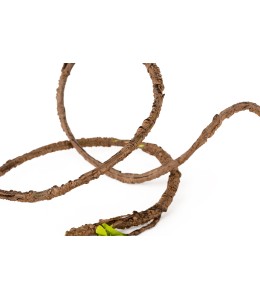 ReptiWorks Bend-A-Branch Vine - Muilt Branch 140Cm, Dia.13Mm