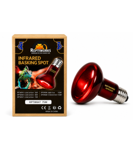 ReptiWorks Infrared Basking Spot 75W6.3X6.3X10Cm / 2.5"X2.5"X4"