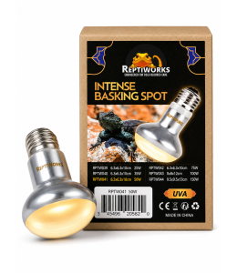 ReptiWorks Intense Basking Spot 50W6.3X6.3X10Cm / 2.5"X2.5"X4
