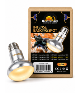 Reptiworks Intense Basking Spot 100W8X8X12.1Cm / 3.1"X3.1"X4.7"