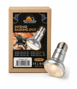 ReptiWorks Intense Basking Spot 150W9.5X9.5X13Cm / 3.8"X3.8"X5.2"