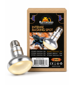 ReptiWorks Intense Basking Spot 75W6.3X6.3X10Cm / 2.5"X2.5"X4