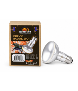 ReptiWorks Intense Basking Spot 25W6.3X6.3X10Cm / 2.5"X2.5"X4