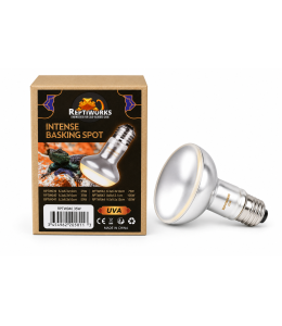 ReptiWorks Intense Basking Spot 35W6.3X6.3X10Cm / 2.5"X2.5"X4