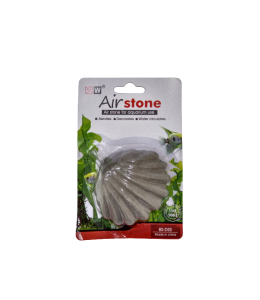 Kw Zone - Aim Shell Type Air Stone[Size - S]
