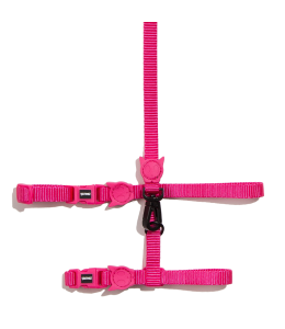 Zee.Cat Pink Led Harness & Leash Set