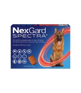 Nexgard Spectra Xl 30.1- 60 Kg)