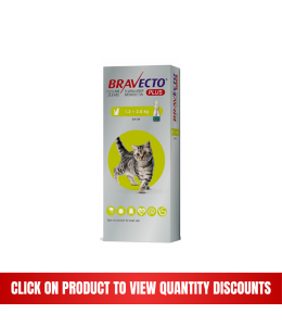Bravecto Plus 112.5 mg / 5.6 mg for Small Cats