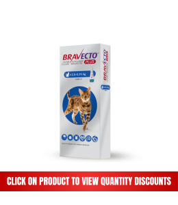 Bravecto Plus 250 mg / 12.5 mg for Medium-Sized Cats