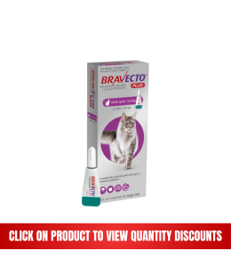 Bravecto Plus 500 mg / 25 mg for Large Cats