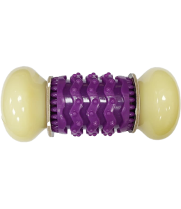 PetSafe RoundN'Robust Chew Companion Dog Toy – Durable Rubber Chew Toy for Aggressive Chewers UAE