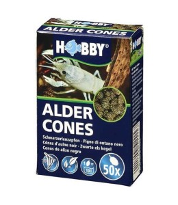 Hobby Alder Cones (50 pcs)