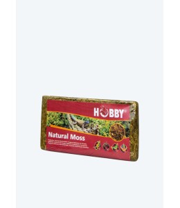 Hobby Natural Moss 100g