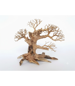 SV Aquarium Deco Bonsai Wood - Medium Large / 35x25x18cm