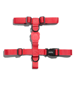 Zee.Dog Neon Coral H-Harness Medium