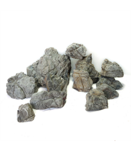 SV Aquarium Deco Rhino Stone (Lichen-based Rock) Large 1pc