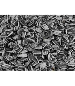 VADIGRAN Sunflower seed small striped 2,5 kg