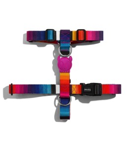Zee.Dog Skull 2.0 H-Harness Medium