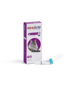 Bravecto Spot On for Cat 500mg  6.25 -12.5kg 1x 1.79ml Large Cats