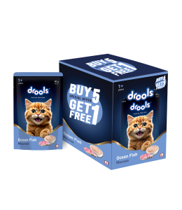 Drools Ocean Fish Mousse Cat 80gm(5+1)Pc